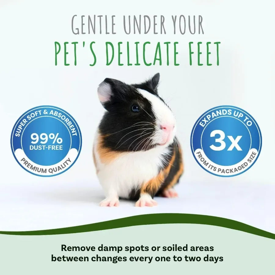 Hign-concerned Small Pet Paper Bedding Odor Control