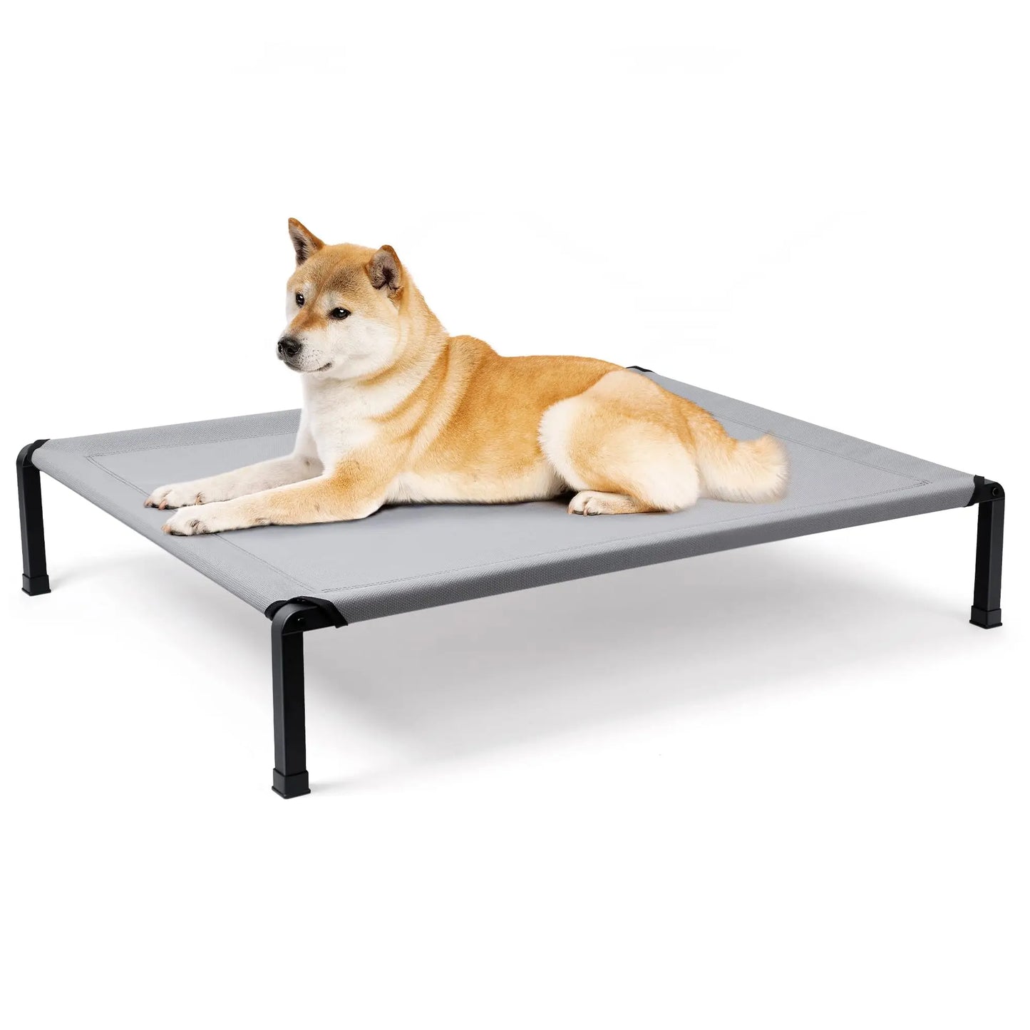 Elevated Dog Bed, Cooling Raised Pet Cot with Chew Proof Mesh Fabric and Steel Frame, Portable Dog Cot for Outdoor Indoor Use