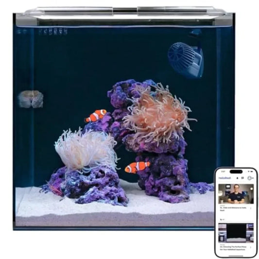 Beginner Friendly Saltwater Aquarium Kit With App Controlled Lighting Filtration