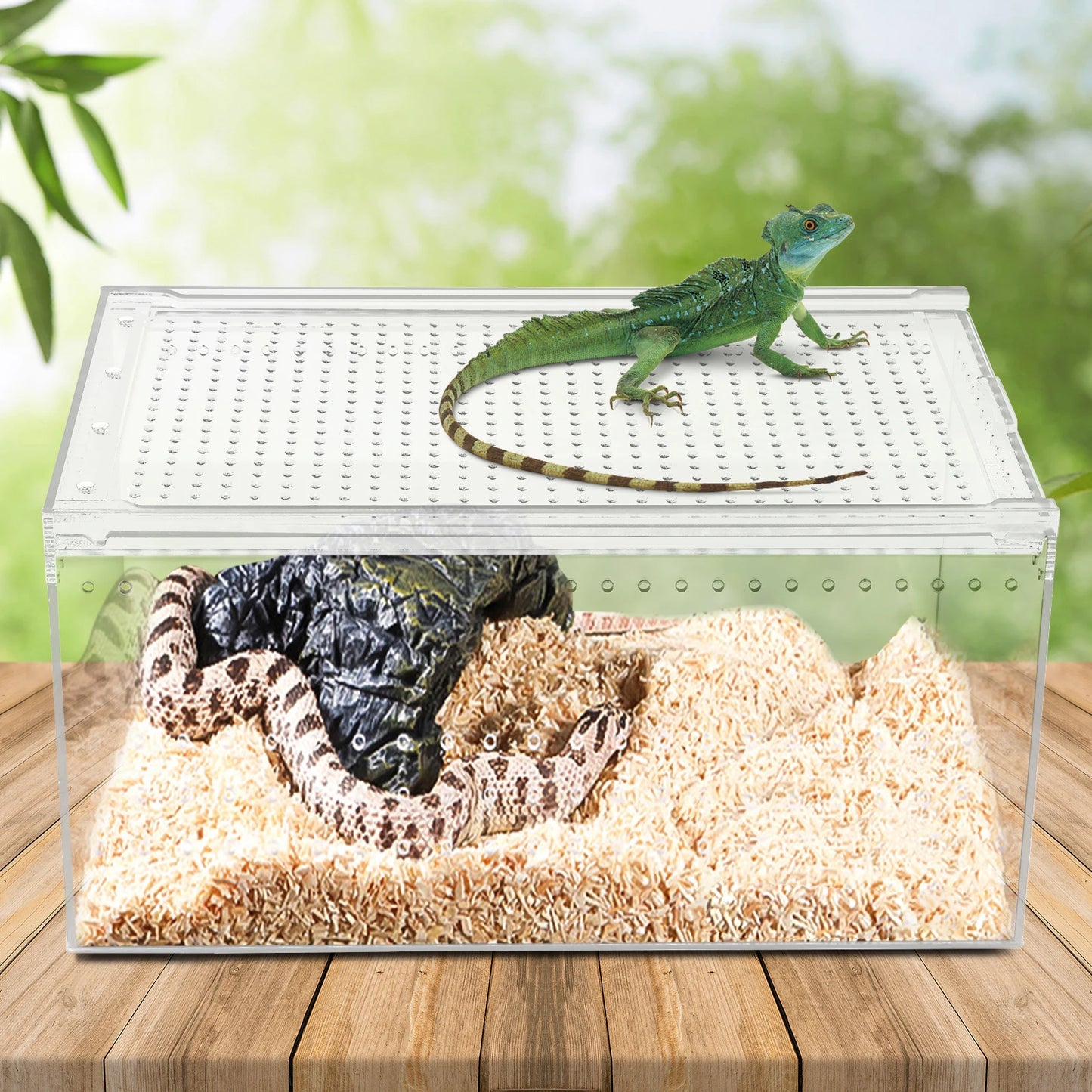 Clear Acrylic Reptile Feeding Box for Small Pets Breeding Cage