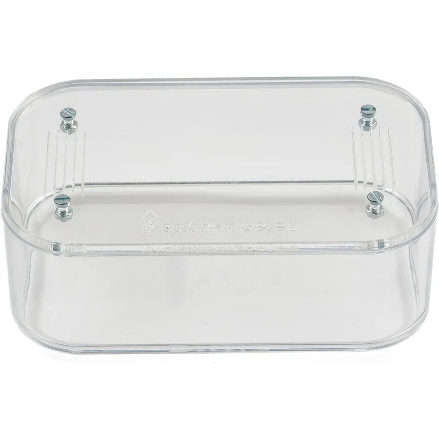 Natural Sand Ant Farm Basic Acrylic Kit for Educational Observation