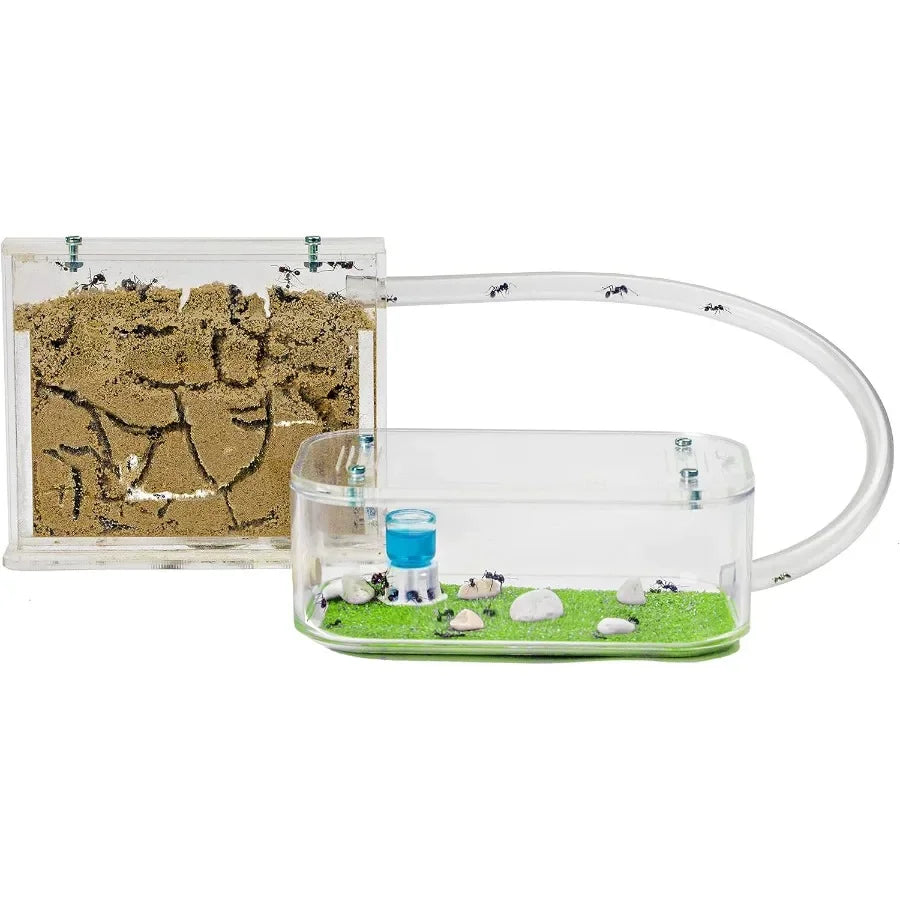 Natural Sand Ant Farm Basic Acrylic Kit for Educational Observation