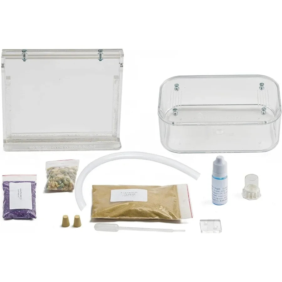 Natural Sand Ant Farm Basic Acrylic Kit for Educational Observation
