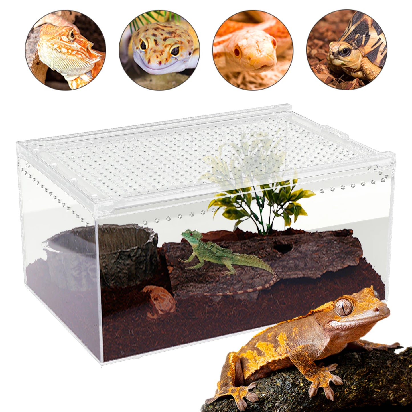 Clear Acrylic Reptile Feeding Box for Small Pets Breeding Cage