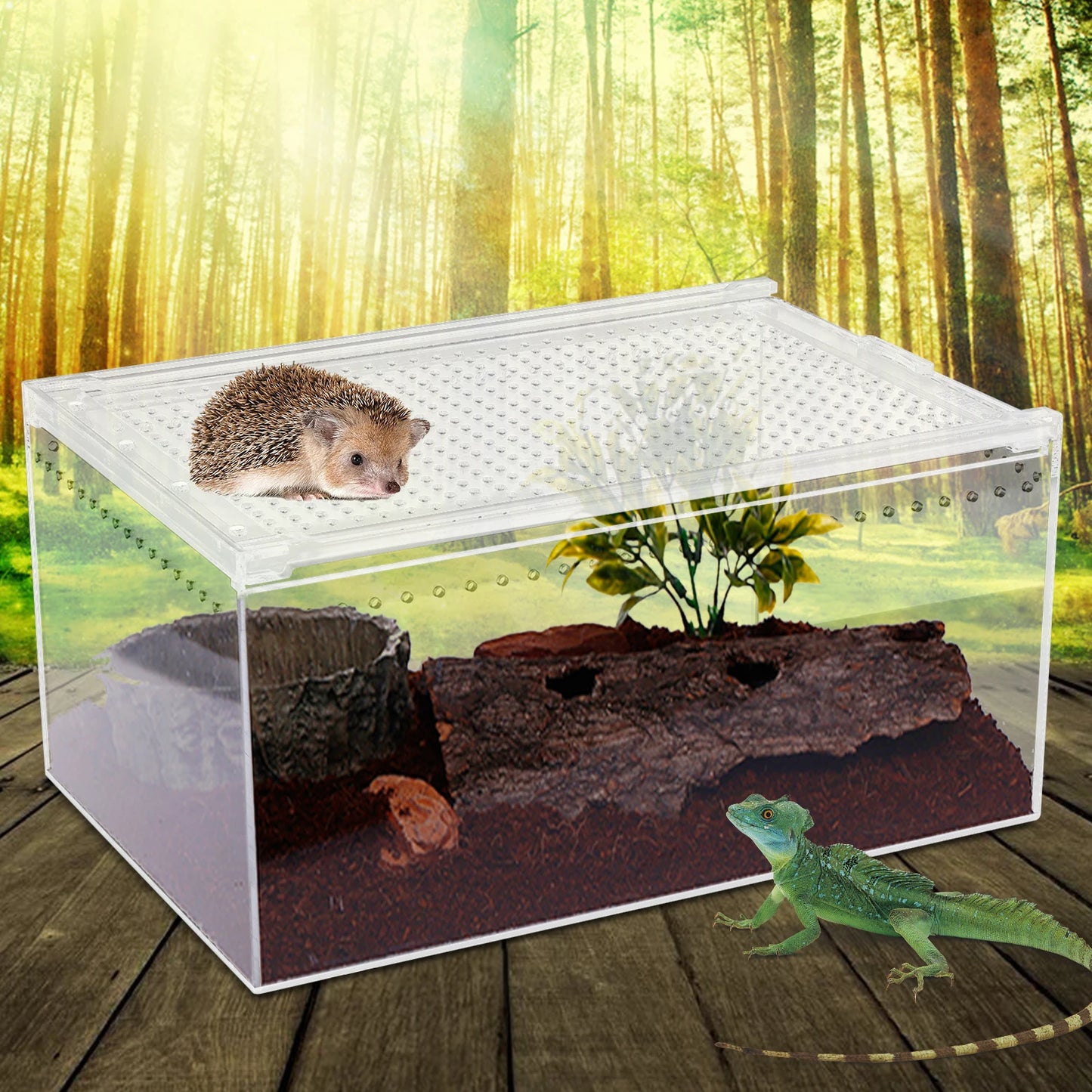 Clear Acrylic Reptile Feeding Box for Small Pets Breeding Cage