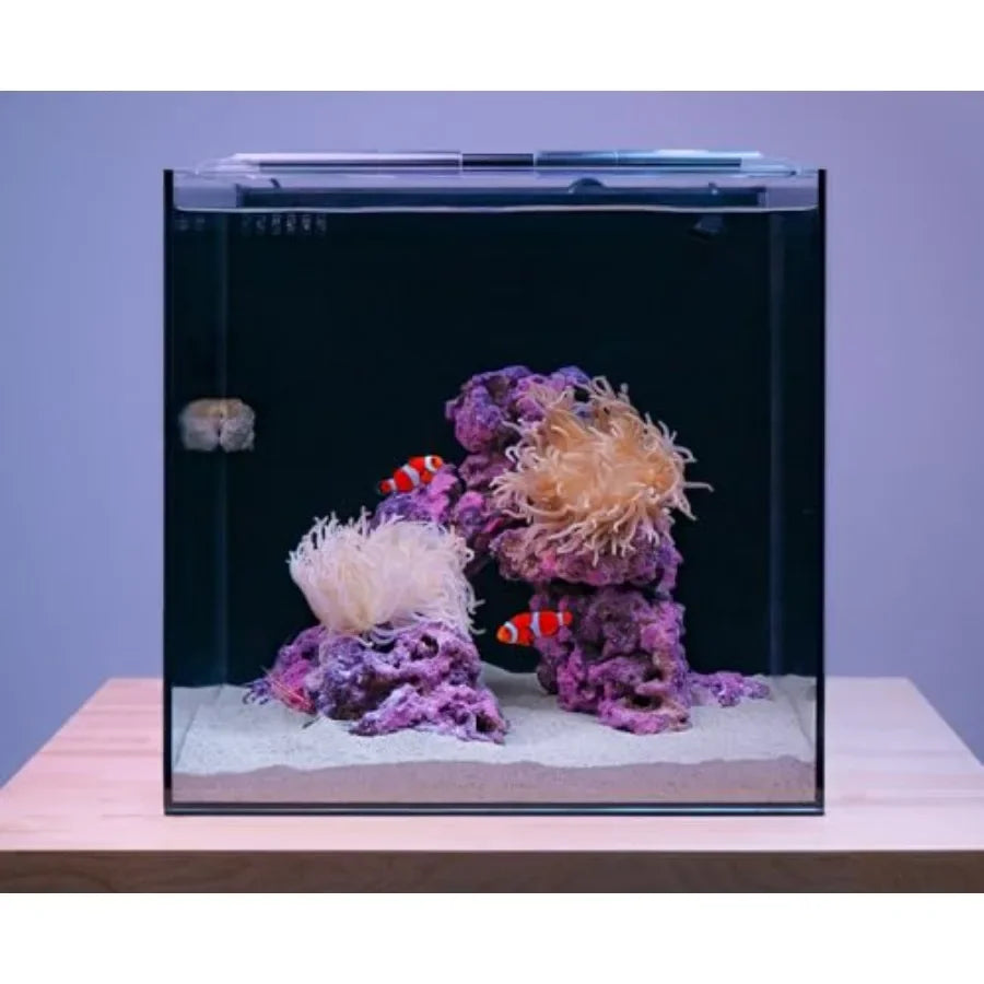 Beginner Friendly Saltwater Aquarium Kit With App Controlled Lighting Filtration