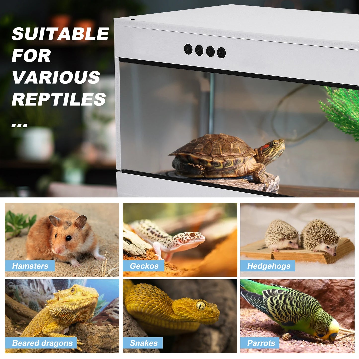 Reptile Enclosure Reptile Cage Lizard Terrarium Tempered Glass Reptile Habitat, Breeding Box, Amphibians Enclosure for All Types