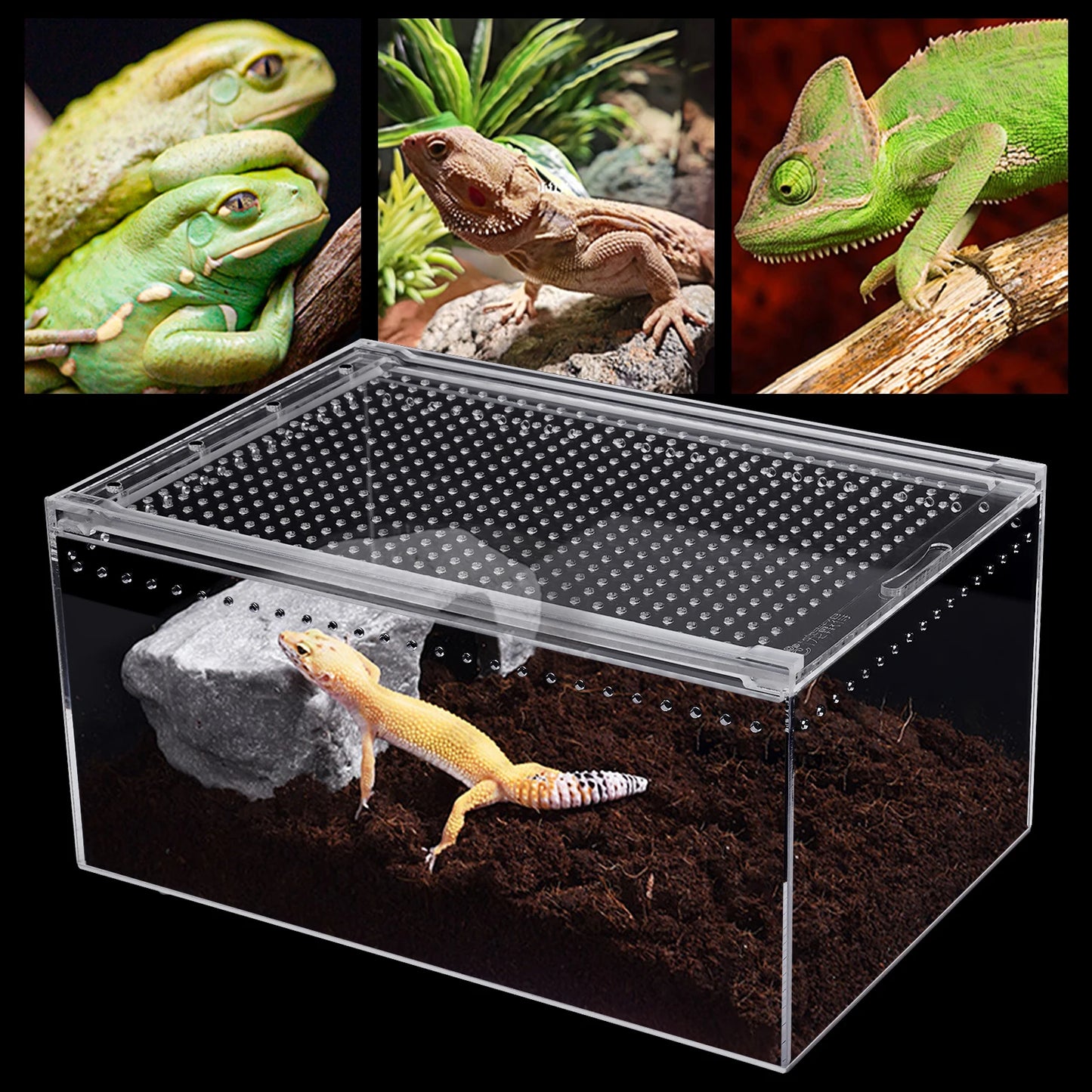 Clear Acrylic Reptile Feeding Box for Small Pets Breeding Cage