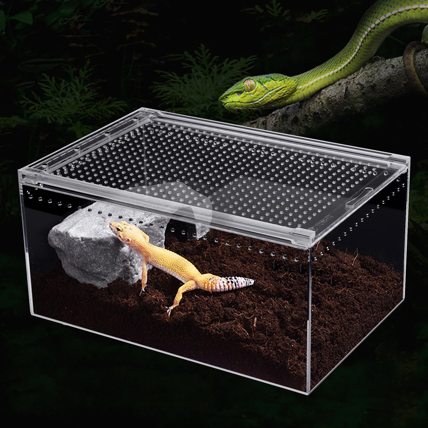 Clear Acrylic Reptile Feeding Box for Small Pets Breeding Cage
