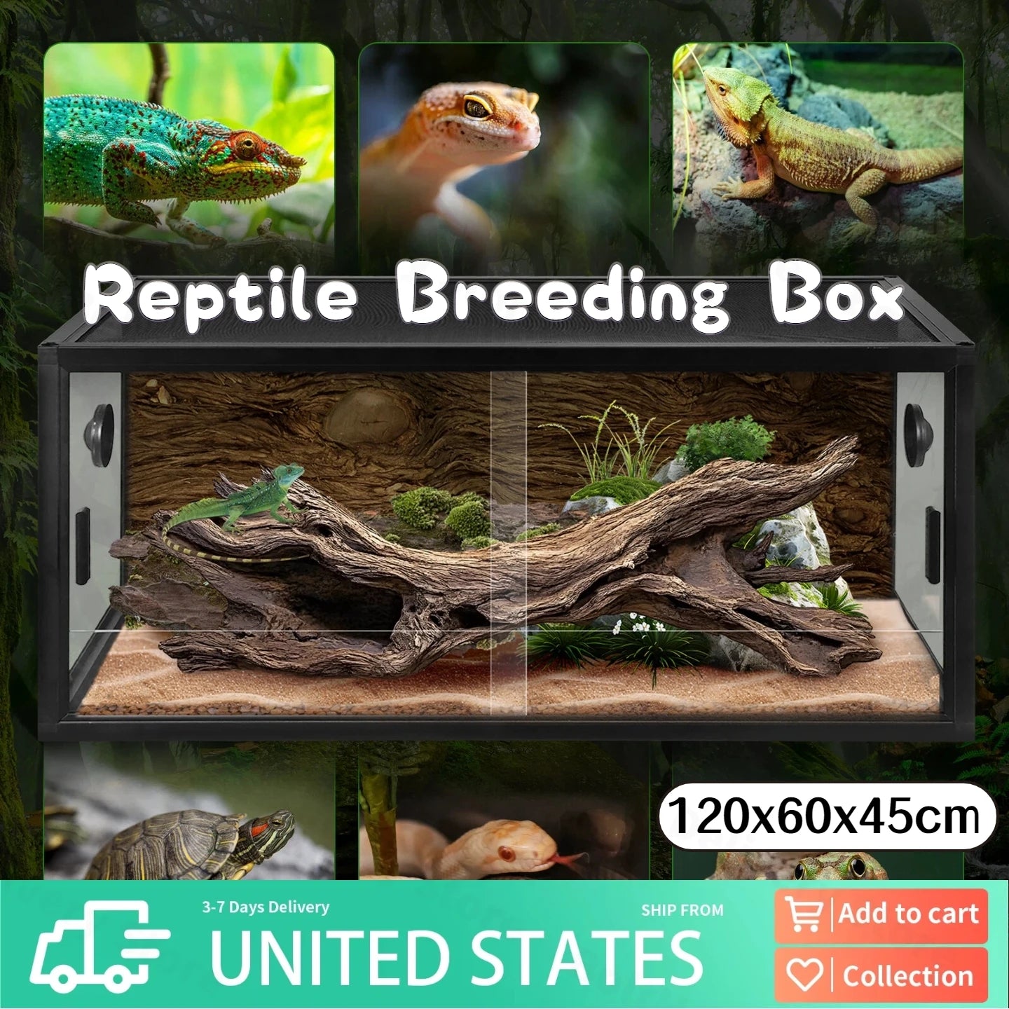 APWIKOGER Reptile Tank Glass Terrarium With Front Ventilation