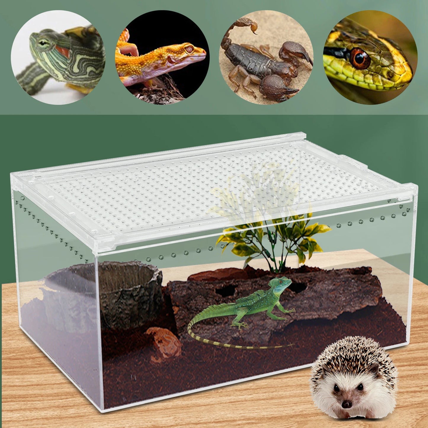 Clear Acrylic Reptile Feeding Box for Small Pets Breeding Cage